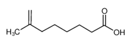 Imagem de 7-METHYL-7-OCTENOIC ACID