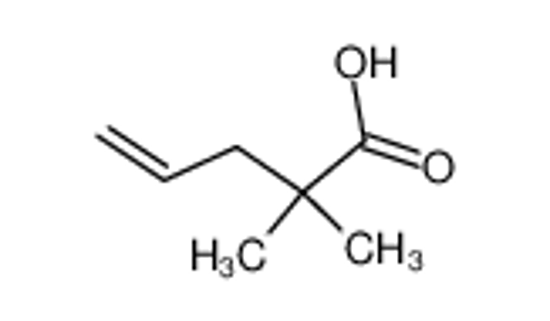 Picture of 2,2-Dimethyl-4-pentenoic acid