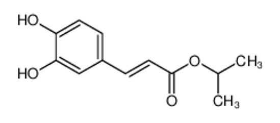 Picture of E-Caffeic acid isoprpyl ester