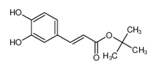 Picture of E-Caffeic acid-t-butyl ester