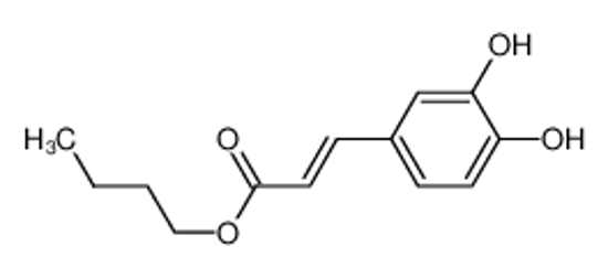 Picture of E-Caffeic acid n-butyl ester