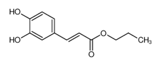 Picture of Caffeic Acid Methyl Ester