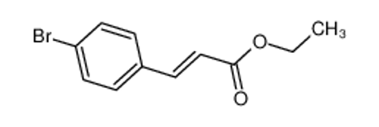 Изображение ETHYL TRANS-4-BROMOCINNAMATE