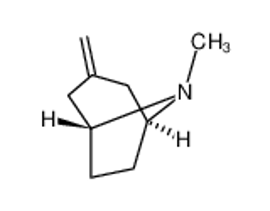 Imagem de 8-methyl-3-methylidene-8-azabicyclo[3.2.1]octane