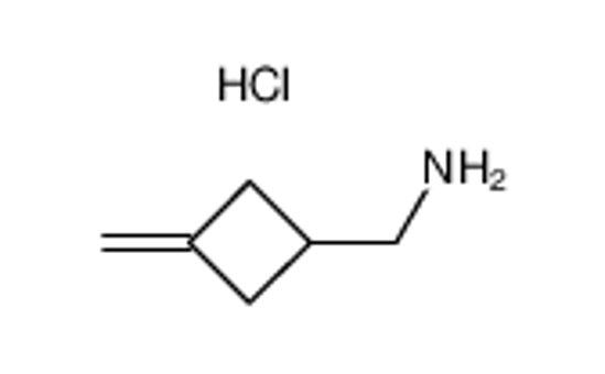 Picture of (3-methylidenecyclobutyl)methanamine,hydrochloride