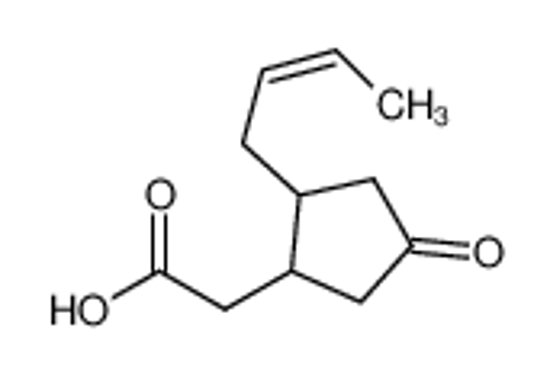 Imagem de (+/-)-JASMONIC ACID