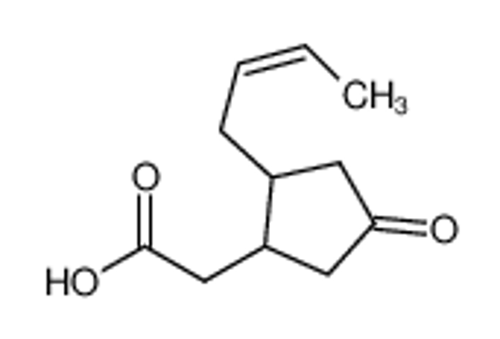 Picture of (+/-)-JASMONIC ACID