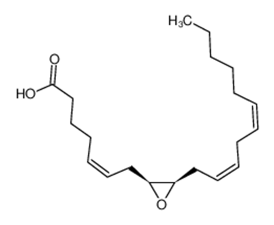 Picture of (+/-)8,9-EET