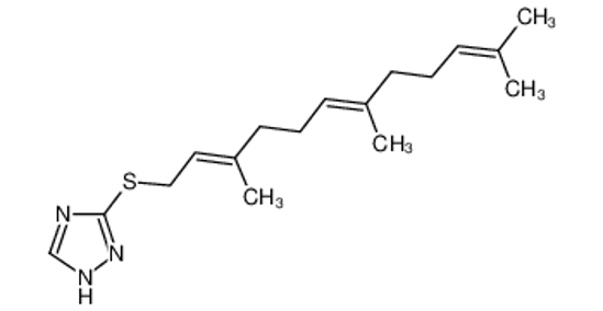 Изображение FTT