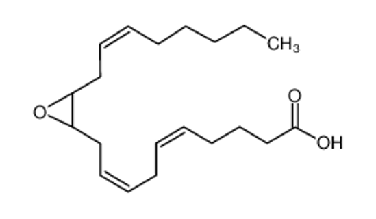 Imagem de (+/-)11,12-EPOXYEICOSA-5Z,8Z,14Z-TRIENOIC ACID