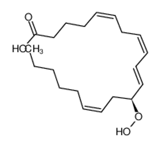 Picture of (12S)-12-hydroperoxyicosa-5,8,10,14-tetraenoic acid