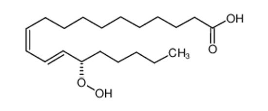 Picture of (15S)-15-hydroperoxyicosa-11,13-dienoic acid