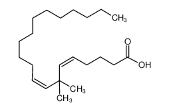 Picture of 7,7-DIMETHYLEICOSADIENOIC ACID