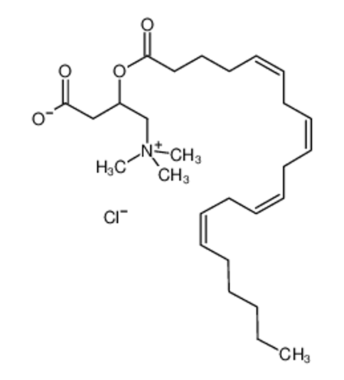 Изображение (3-carboxy-2-icosanoyloxypropyl)-trimethylazanium,chloride