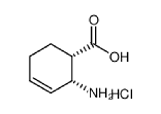 Picture of (1S,2R)-(-)-2-AMINOCYCLOHEX-3-ENECARBOXYLIC ACID HYDROCHLORIDE