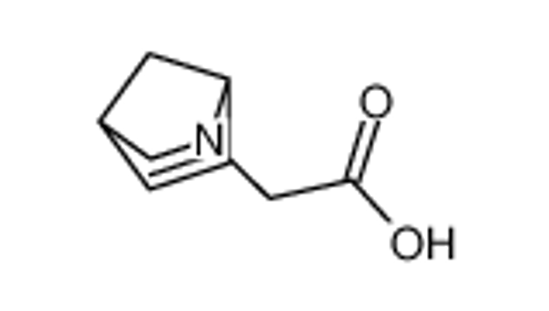 Picture of 2-(5-azabicyclo[2.2.1]hept-2-en-5-yl)acetic acid