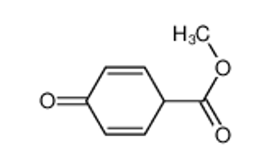 Picture of 2,5-Cyclohexadiene-1-carboxylicacid,4-oxo-,methylester(9CI)