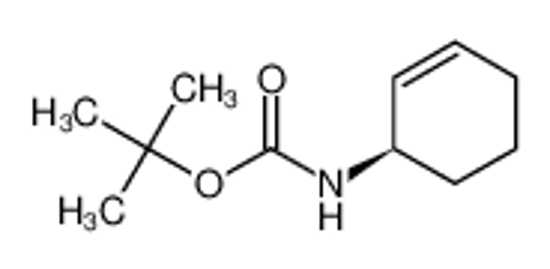 Picture of Carbamic acid, (1R)-2-cyclohexen-1-yl-, 1,1-dimethylethyl ester (9CI)