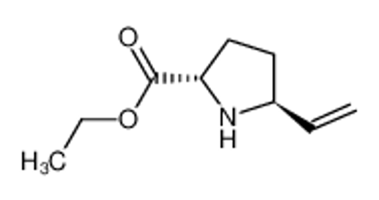 Picture of Proline, 5-ethenyl-, ethyl ester, trans- (9CI)