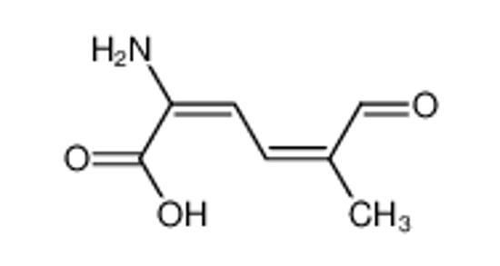 Picture of (2E,4Z)-2-amino-5-methyl-6-oxohexa-2,4-dienoic acid
