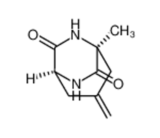 Imagem de (1S,5S)-5-methyl-3-methylidene-7,9-diazabicyclo[3.2.2]nonane-6,8-dione