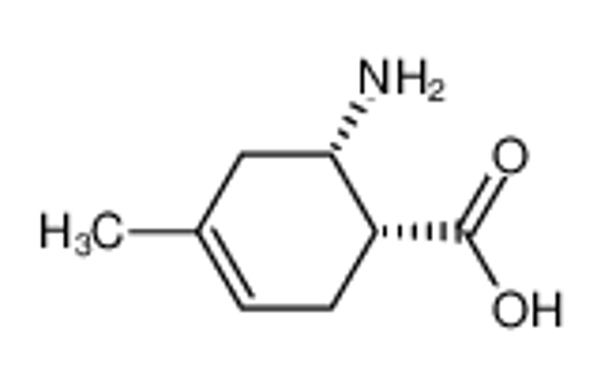 Picture of (1R,6S)-6-amino-4-methylcyclohex-3-ene-1-carboxylic acid