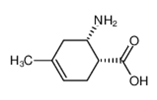 Изображение (1R,6S)-6-amino-4-methylcyclohex-3-ene-1-carboxylic acid