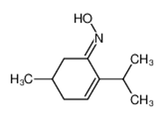 Picture of 2-Cyclohexen-1-one,5-methyl-2-(1-methylethyl)-,oxime(9CI)