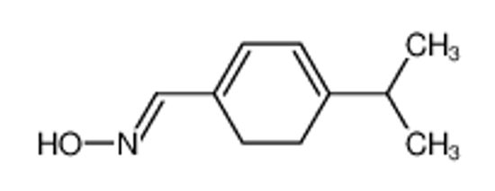Picture of 1,3-Cyclohexadiene-1-carboxaldehyde,4-isopropyl-,oxime,(E)-(8CI)