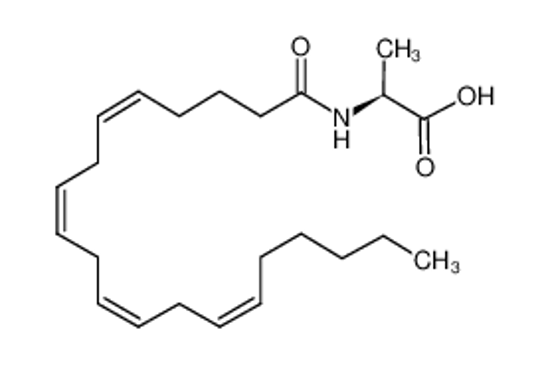 Picture of (2S)-2-(icosa-5,8,11,14-tetraenoylamino)propanoic acid