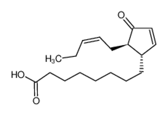 Изображение 8-[(1S,5R)-4-oxo-5-pent-2-enylcyclopent-2-en-1-yl]octanoic acid