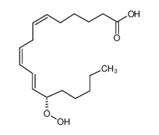 Picture of 13(S)-HPOTRE(γ)