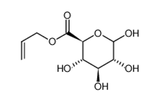 Picture of Allyl D-Glucuronate