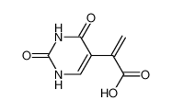Picture of (E)-5-(2-Carboxvinyl)uracil