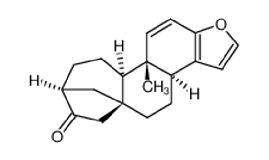 Изображение 16-OXOKAHWEOL