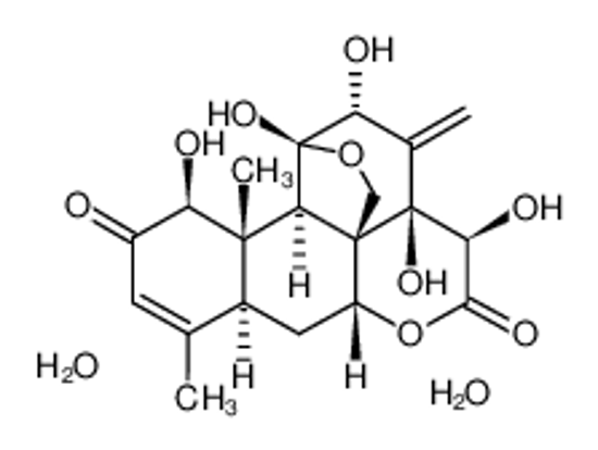 Imagem de eurycomanone