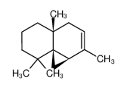 Picture of (-)-thujopsene