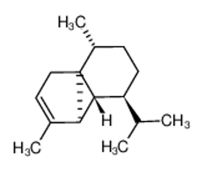 Picture of (-)-α-CUBEBENE