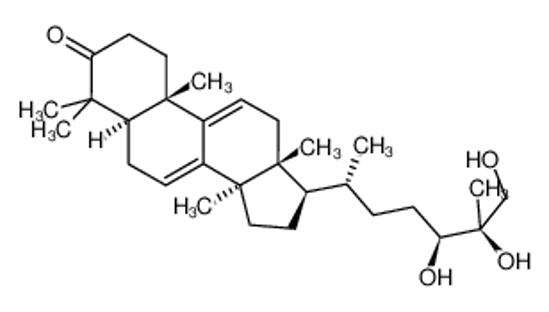 Picture of GANODERMATRIOL(P)