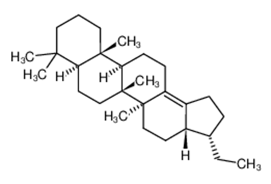 Picture of (3S,3aR,5aS,5bR,11aS)-3-ethyl-3a,5a,5b,8,8,11a-hexamethyl-1,2,3,4,5,6,7,7a,9,10,11,11b,12,13-tetradecahydrocyclopenta[a]chrysene