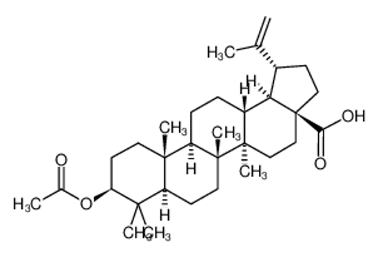 Picture of 9-acetyloxy-5a,5b,8,8,11a-pentamethyl-1-prop-1-en-2-yl-1,2,3,4,5,6,7,7a,9,10,11,11b,12,13,13a,13b-hexadecahydrocyclopenta[a]chrysene-3a-carboxylic acid