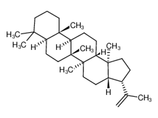 Imagem de hop-22(29)-ene