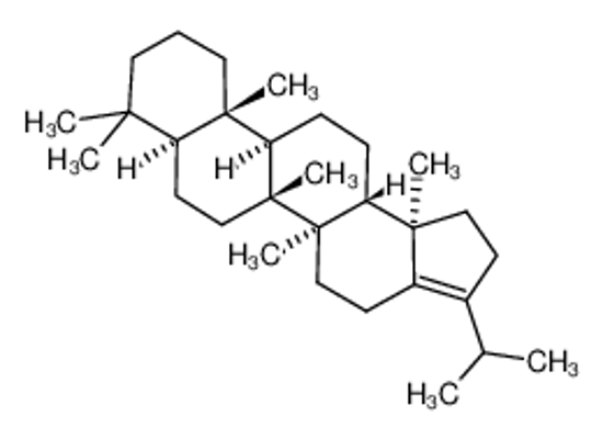 Picture of (5aR,5bR,7aS,11aS,11bR,13aS,13bR)-5a,5b,8,8,11a,13b-hexamethyl-3-propan-2-yl-1,2,4,5,6,7,7a,9,10,11,11b,12,13,13a-tetradecahydrocyclopenta[a]chrysene