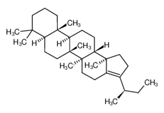 Picture of (5aR,5bR,7aS,11aS,11bR,13aS,13bR)-3-[(2R)-butan-2-yl]-5a,5b,8,8,11a,13b-hexamethyl-1,2,4,5,6,7,7a,9,10,11,11b,12,13,13a-tetradecahydrocyclopenta[a]chrysene