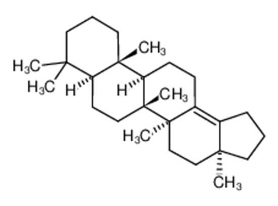 Picture of (3aS,5aS,5bR,7aS,11aS,11bR)-3a,5a,5b,8,8,11a-hexamethyl-1,2,3,4,5,6,7,7a,9,10,11,11b,12,13-tetradecahydrocyclopenta[a]chrysene