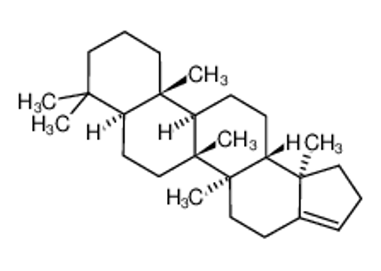 Изображение 22,29,30-TRISNORHOP-17(21)-ENE