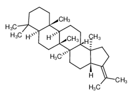 Picture of (3aR,5aR,5bR,7aS,11aS,11bR,13aR,13bS)-5a,5b,8,8,11a,13b-hexamethyl-3-propan-2-ylidene-2,3a,4,5,6,7,7a,9,10,11,11b,12,13,13a-tetradecahydro-1H-cyclopenta[a]chrysene