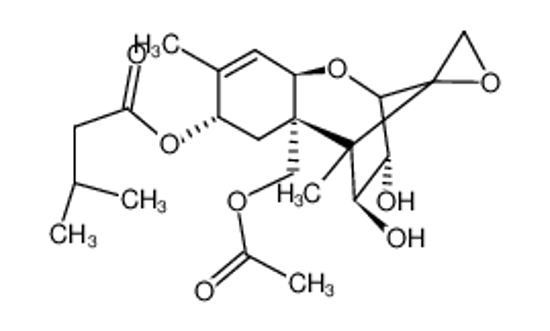 Picture of HT-2 TOXIN