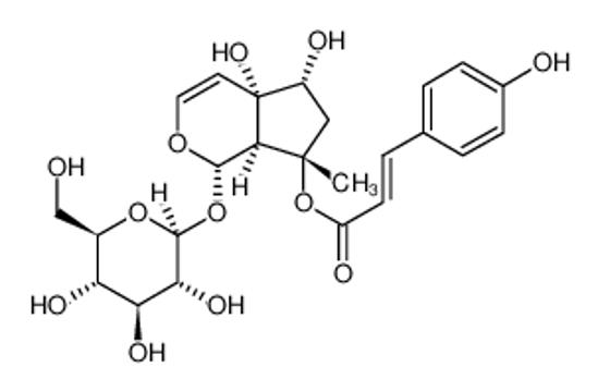 Picture of 8-P-COUMAROYL-HARPAGIDE