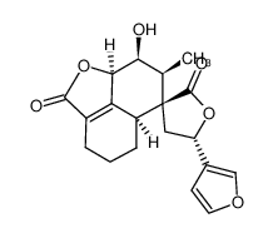 Изображение TEUCRIN A
